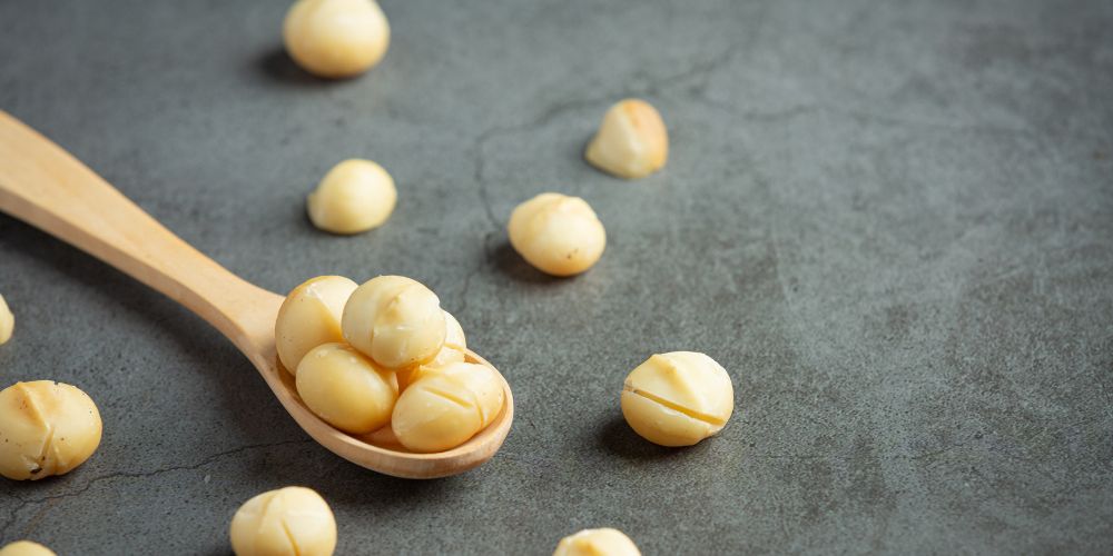 Macadamia Nuts