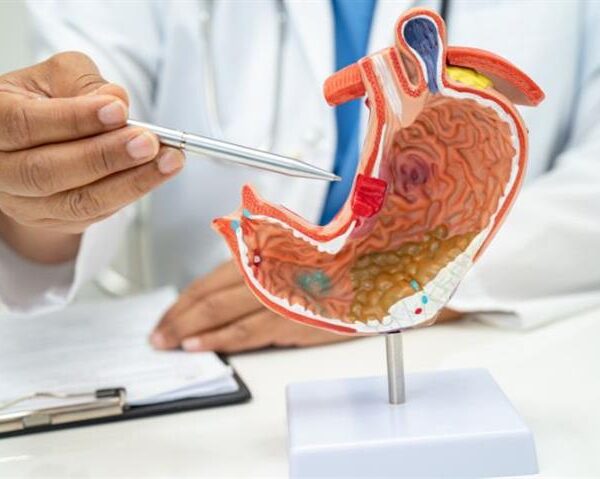 10 Fibre-Rich Breakfasts for Healthy Digestion AIIMS Gastroenterologist’s Recommendations