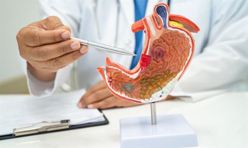 10 Fibre-Rich Breakfasts for Healthy Digestion AIIMS Gastroenterologist’s Recommendations