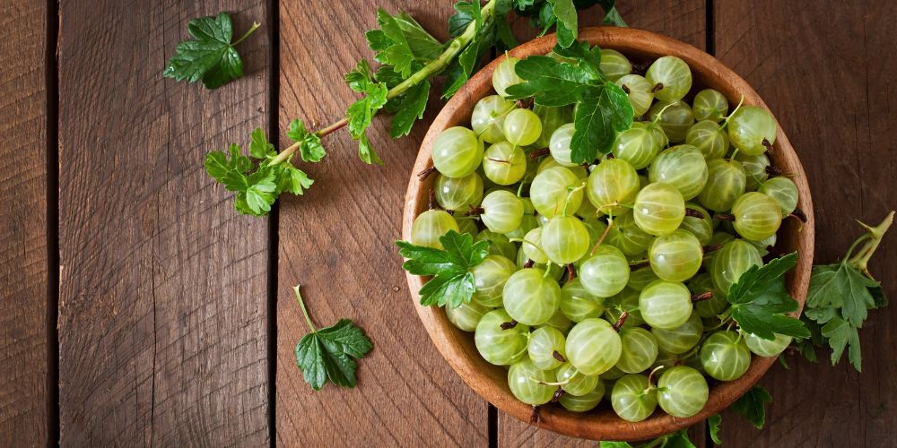 Gooseberry (Amla)