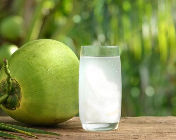 Is Coconut Water Really Good for You Health Benefits and Hidden Risks Explained