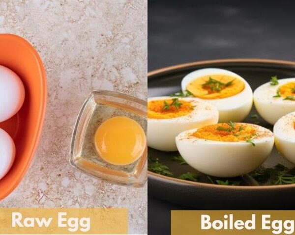 Raw Egg vs Boiled Egg Safety, Nutrition, and Protein Power Compared