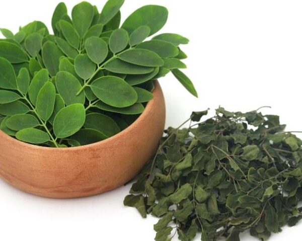5 Best Foods to Combine with Moringa Leaves for a Stronger Immune System
