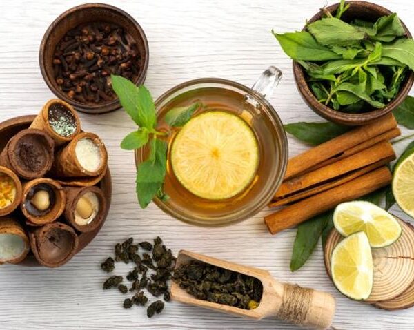 Empowering Rural India The Woman Bringing Ayurveda and Healthcare to Every Village