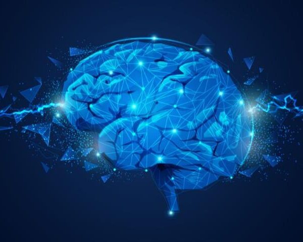 When the Heart and Brain Collide Uncovering the Dangerous Link Between Heart Disease and Stroke