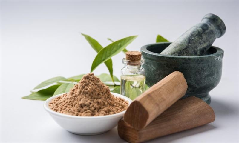 _Herbal Biodiversity Conservation Protecting Medicinal Species for Future Generations