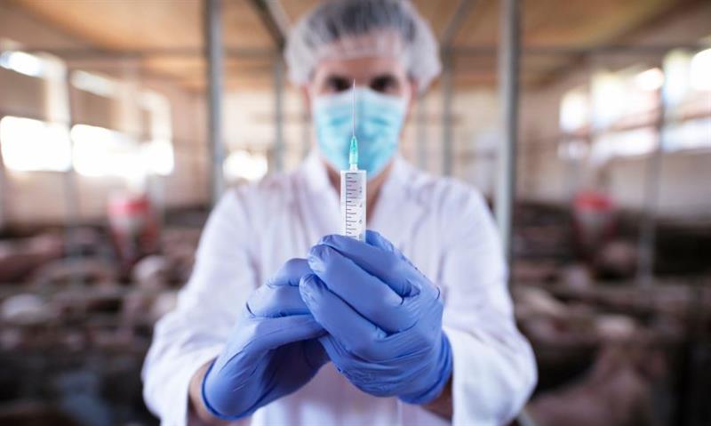 India Launches ₹383-Crore National Mission to Combat Zoonotic Diseases and Safeguard Public Health