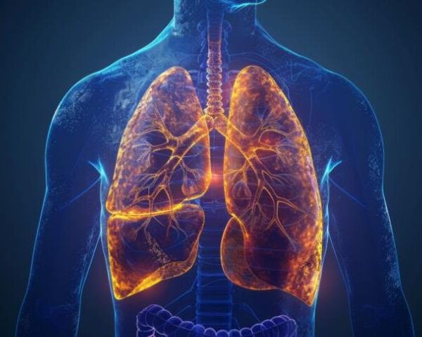 Pollution and the Urban Heart Why the Air You Breathe Hurts More Than Just Your Lungs