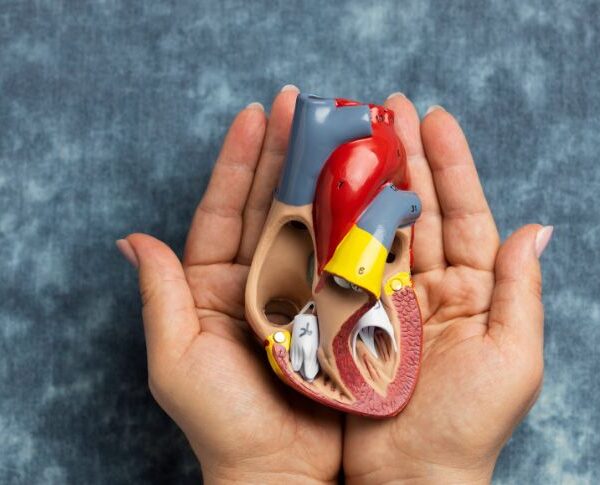 How Altered Bile Acids May Drive the Progression of Chronic Kidney Disease