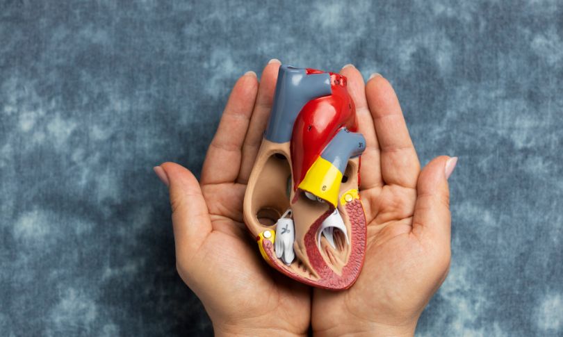 How Altered Bile Acids May Drive the Progression of Chronic Kidney Disease