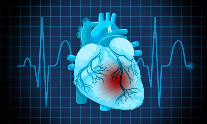SGLT2 Inhibitors and Their Role in Lowering Heart Failure Risk in Type 2 Diabetes Mellitus