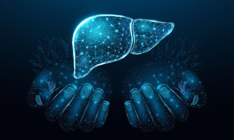 Medicover Opens Liver Clinic in Navi Mumbai for Early Detection and Treatment