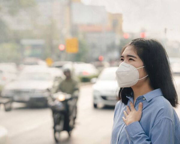 New Study Shows Air Pollution Can Interfere with Fetal Growth