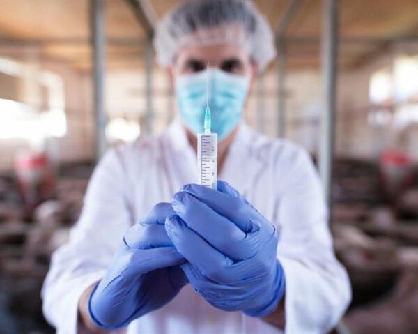 National Doctors' Day Highlights the Importance of Preventive Healthcare