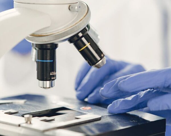 Rajnath Singh Says India Is Establishing New Standards in Medical Research