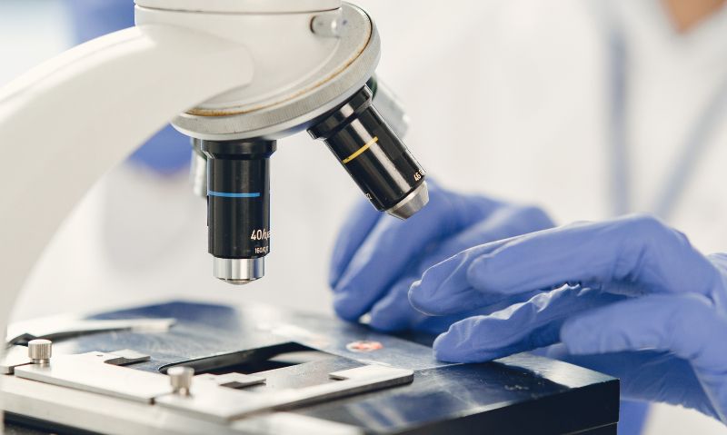 Rajnath Singh Says India Is Establishing New Standards in Medical Research
